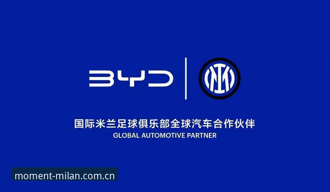 米兰体育官网品牌首页攻略详解