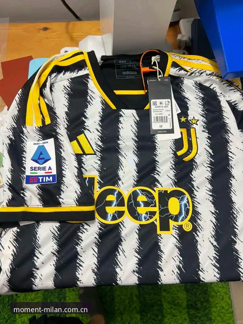 Milan APP下载 弗拉霍维奇vs瑟洛特:尤文的锋线选择题,你会怎么翻牌?